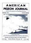 Magazine Cover